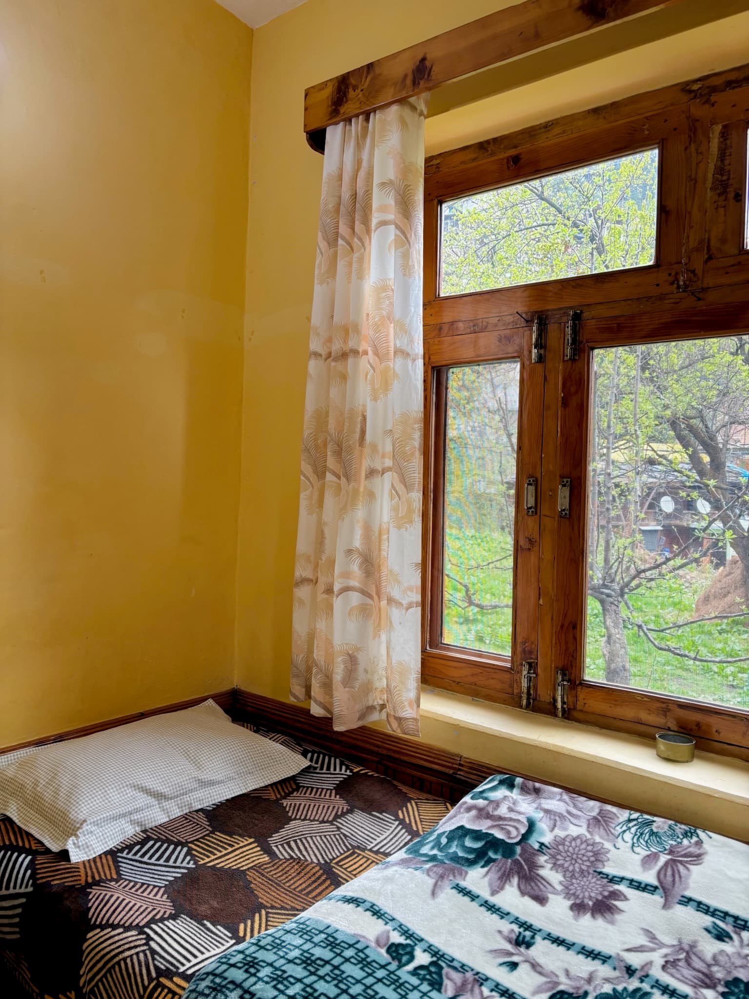 Solo Room thumbnail 3